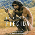 La especie elegida Spanish Arsuaga Juan Luis Kitap Kapağı