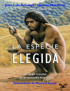 La especie elegida Spanish Arsuaga Juan Luis Kitap Kapağı