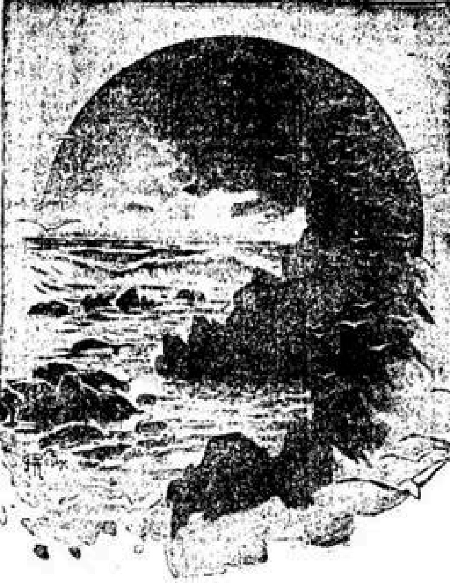 La isla misteriosa PDF Download
