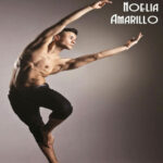 La voz Noelia Amarillo Kitap Kapağı