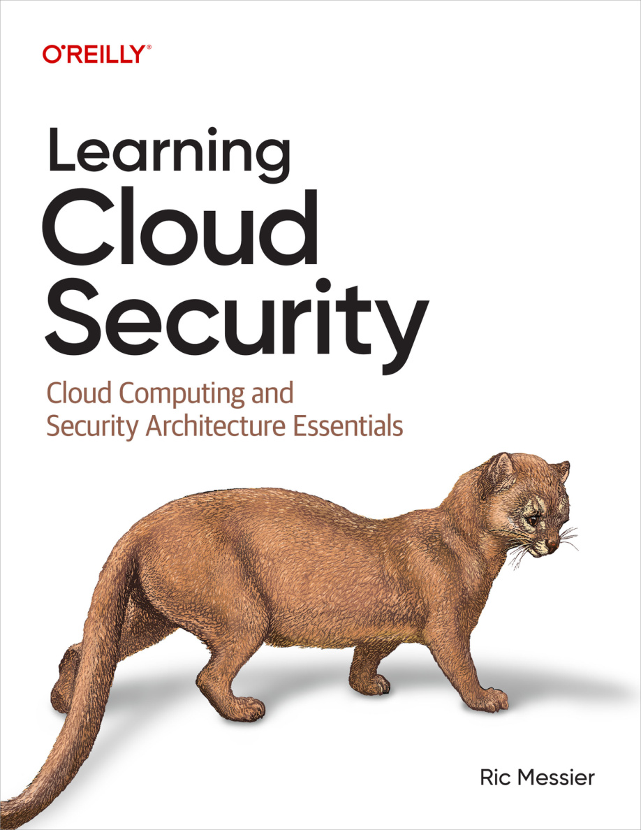 Learning Cloud Security PDF Download