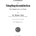 Leitfaden der Sauglingskrankheiten German Edition Walter Birk Kitap Kapağı