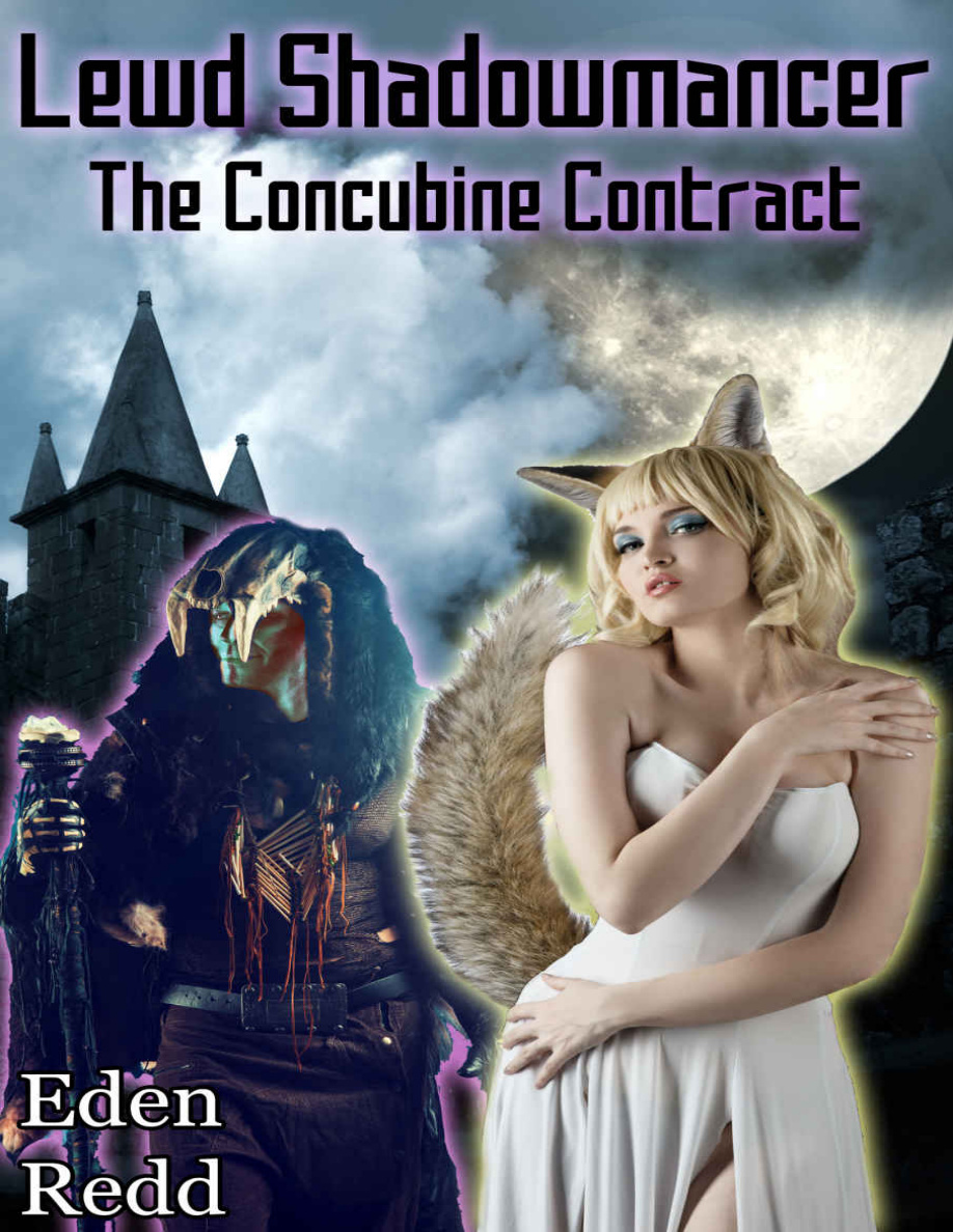 Lewd Shadowmancer The Concubine Contract Eden Redd Kitap Kapağı