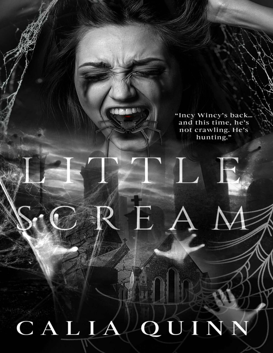 Little Scream PDF Download