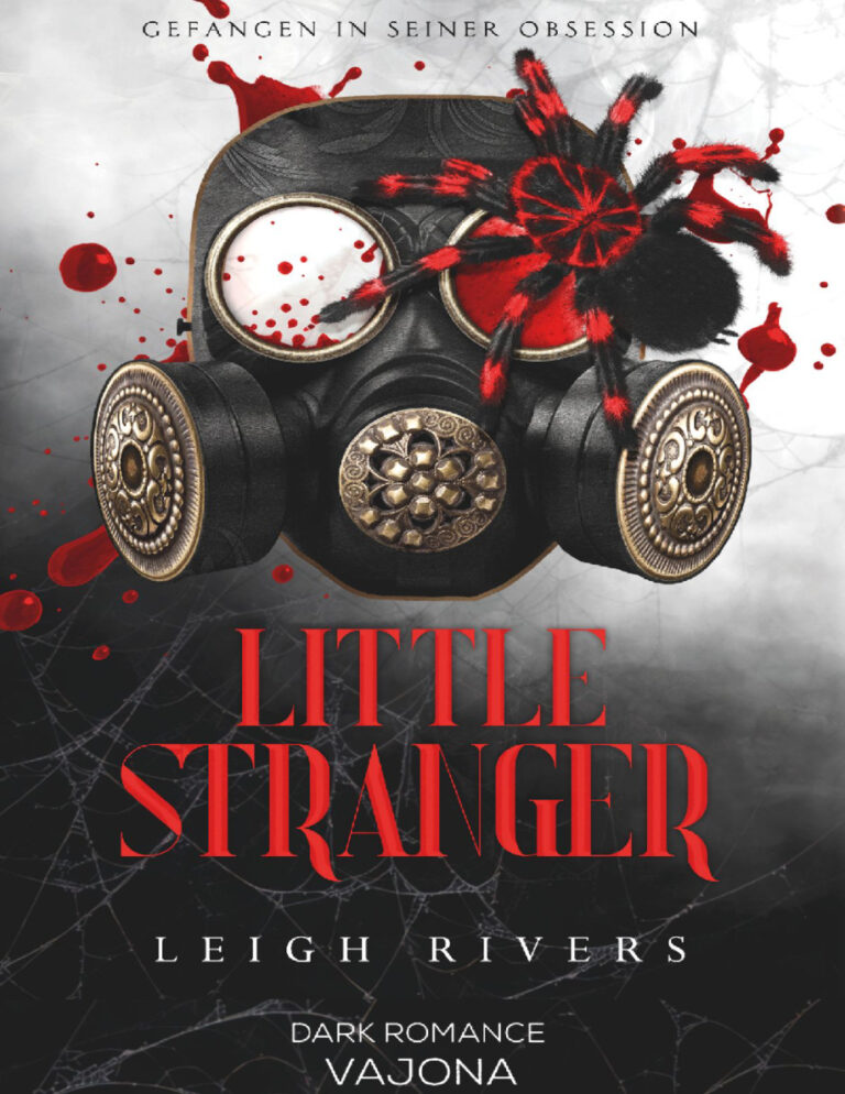 Little stranger gefangen in seiner Obsession German Edition Leigh Rivers Kitap Kapağı