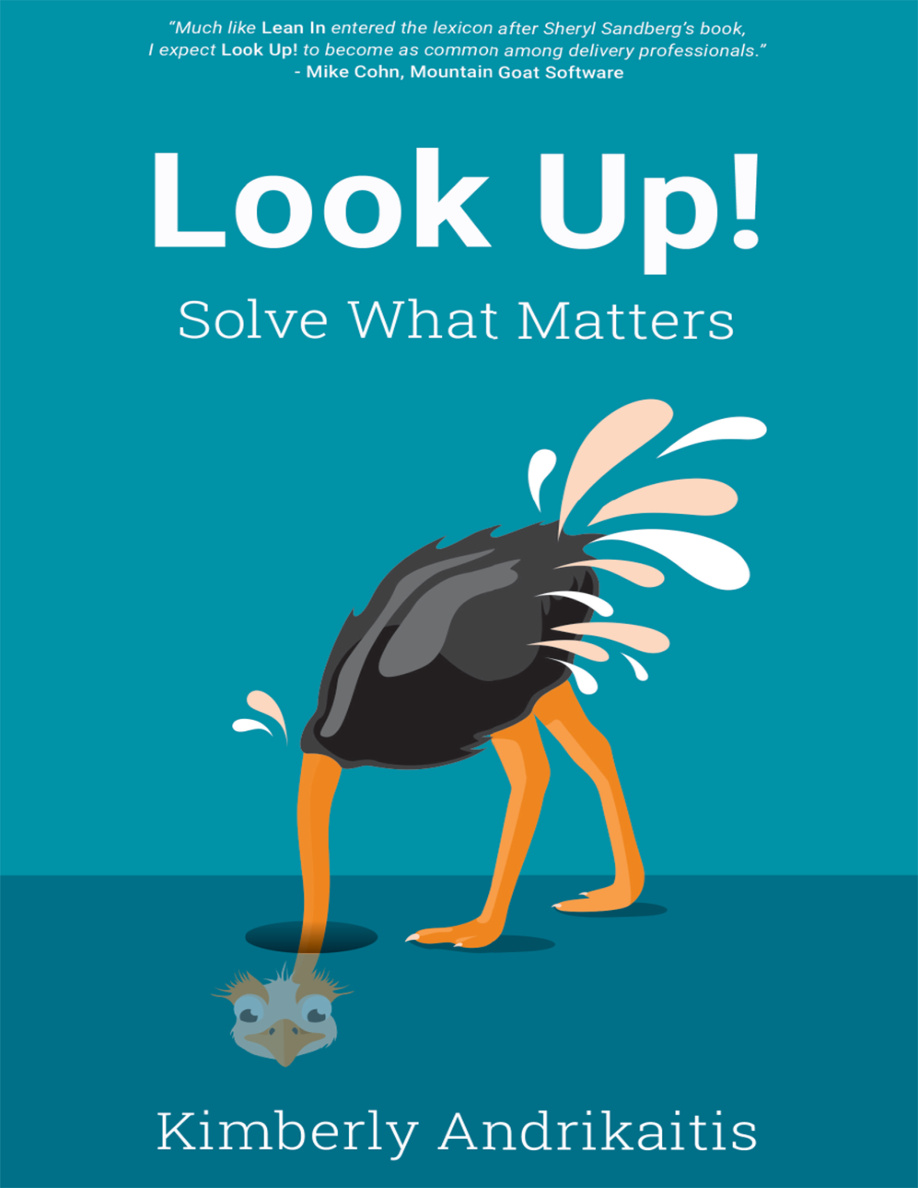 Look Up Solve What Matters Kimberly Andrikaitis Kitap Kapağı