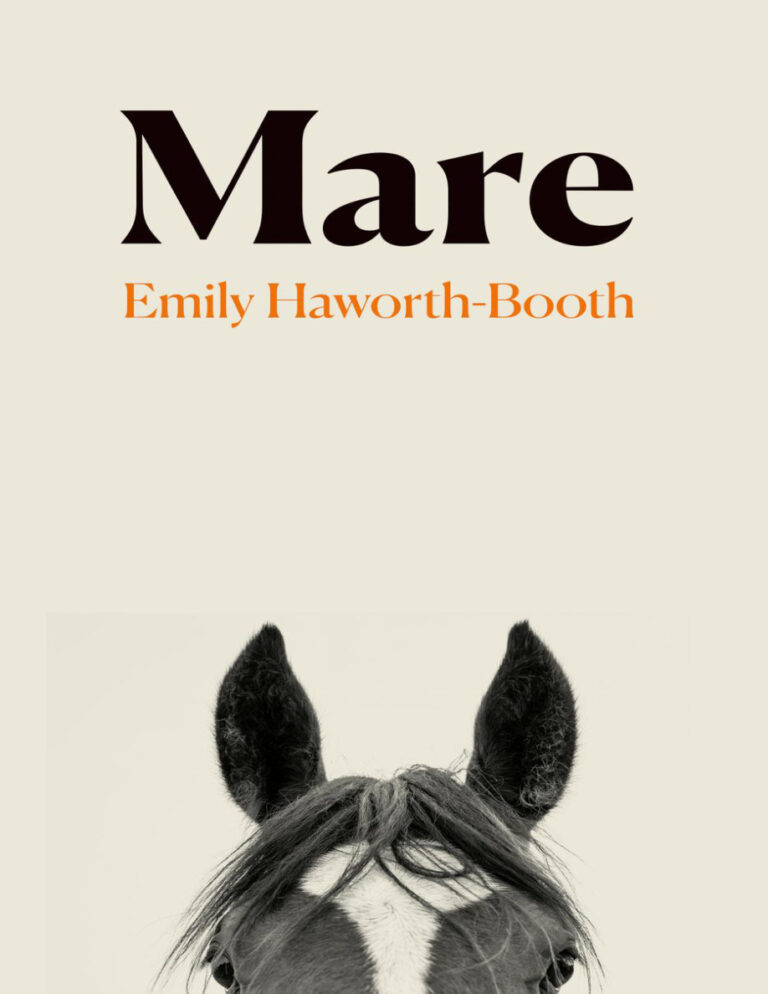 Mare Emily Haworth booth Kitap Kapağı