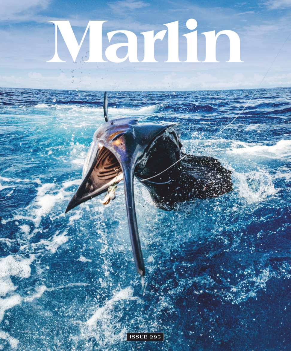 Marlin MayJune 2026 Marlin Kitap Kapağı
