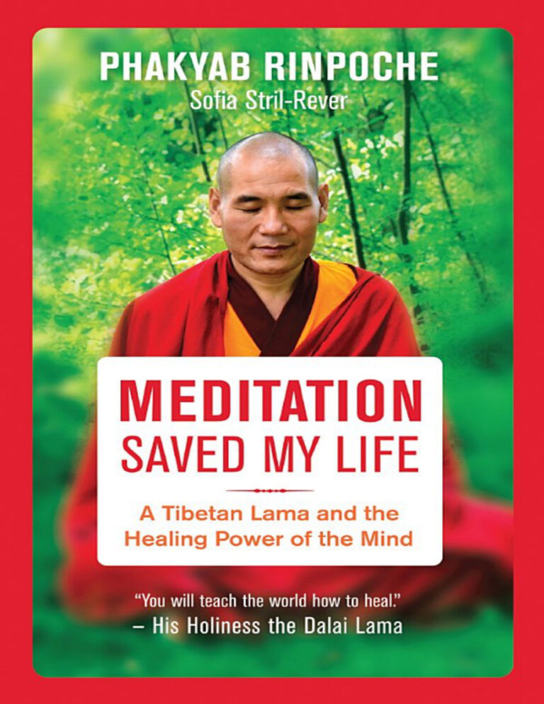 Meditation Saved My Life A Tibetan Lama and the Healing Power of the Mind Phakyab Rinpoche Kitap Kapağı