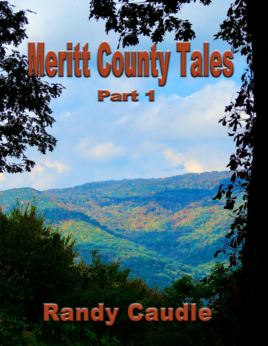 Meritt County Tales Part I PDF Download
