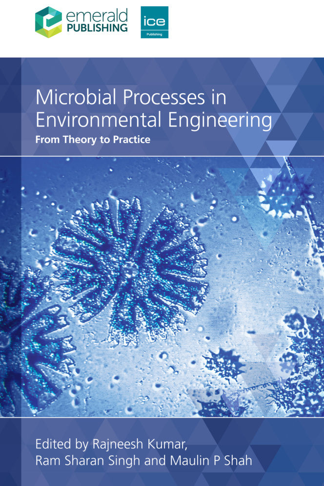 Microbial Processes in Engineering Rajneesh Kumar Kitap Kapağı