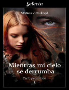 Mientras mi cielo se derrumba Matias Zitterkopf Kitap Kapağı