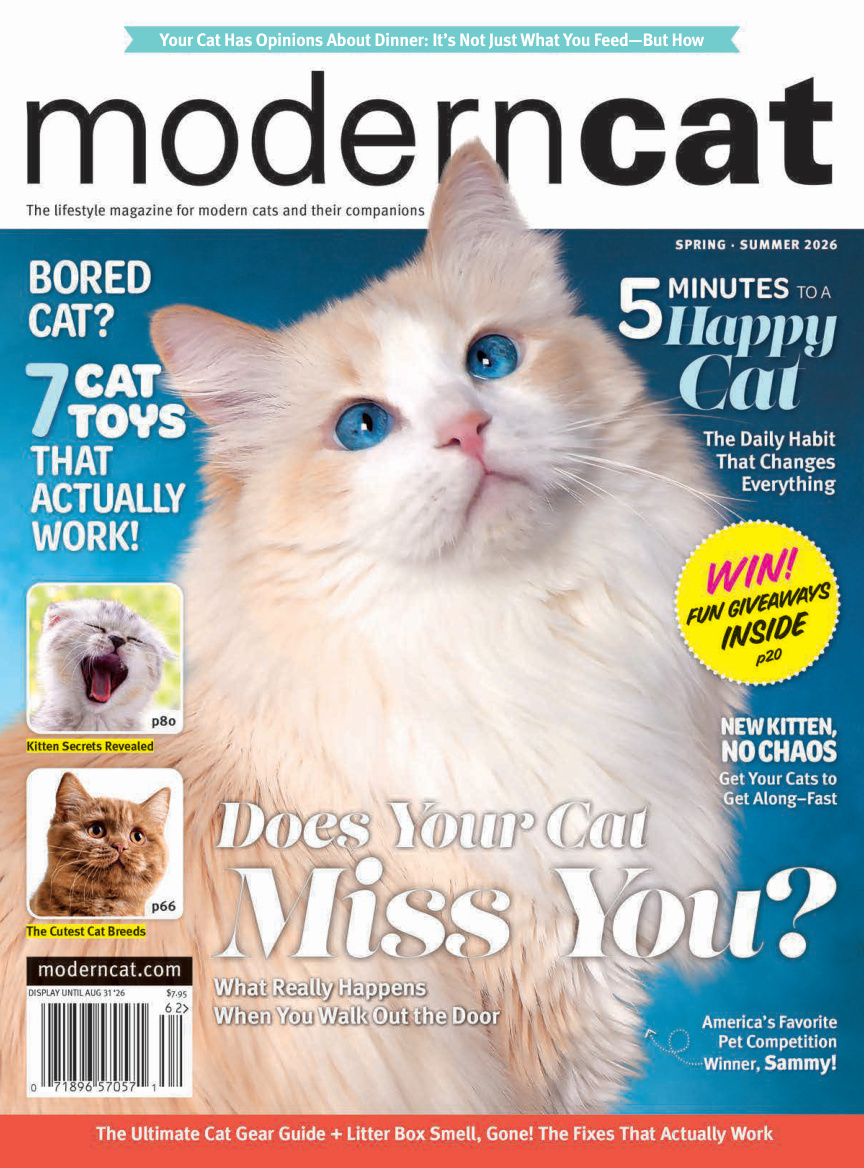 Modern Cat SpringSummer 2026 Modern Cat Kitap Kapağı