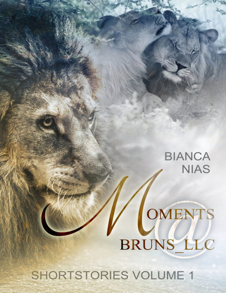 MomentsBruns LLC Shortstories Volume I German Edition Bianca Nias Kitap Kapağı