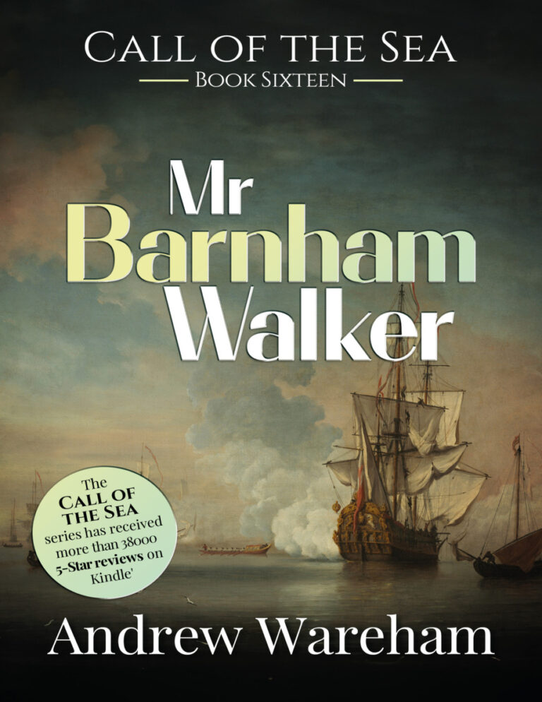 Mr Barnham Walker Andrew Wareham Kitap Kapağı