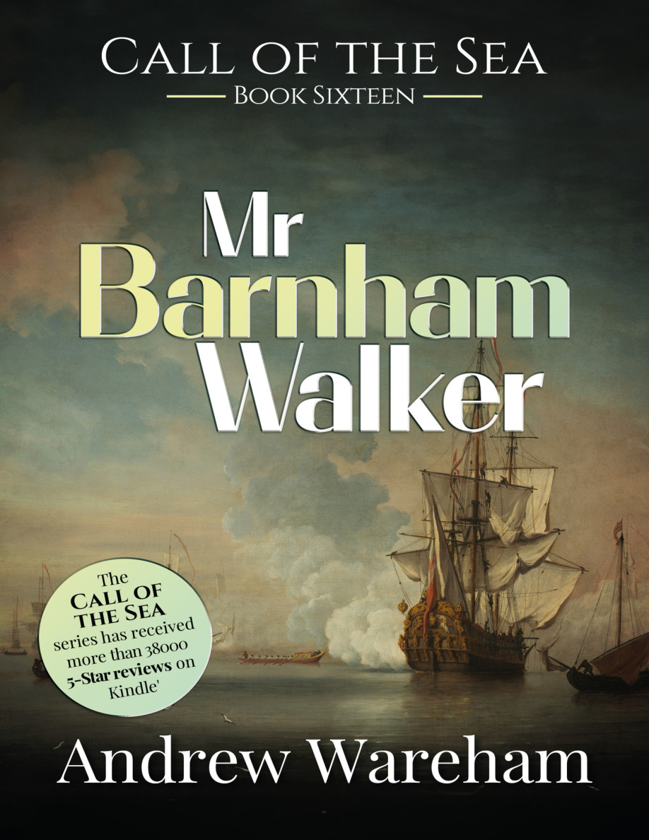 Mr Barnham Walker Andrew Wareham Kitap Kapağı