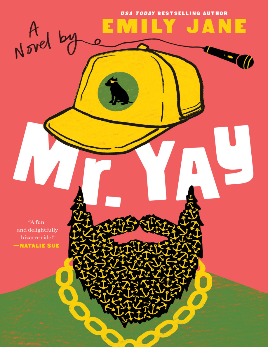 Mr. Yay PDF Download