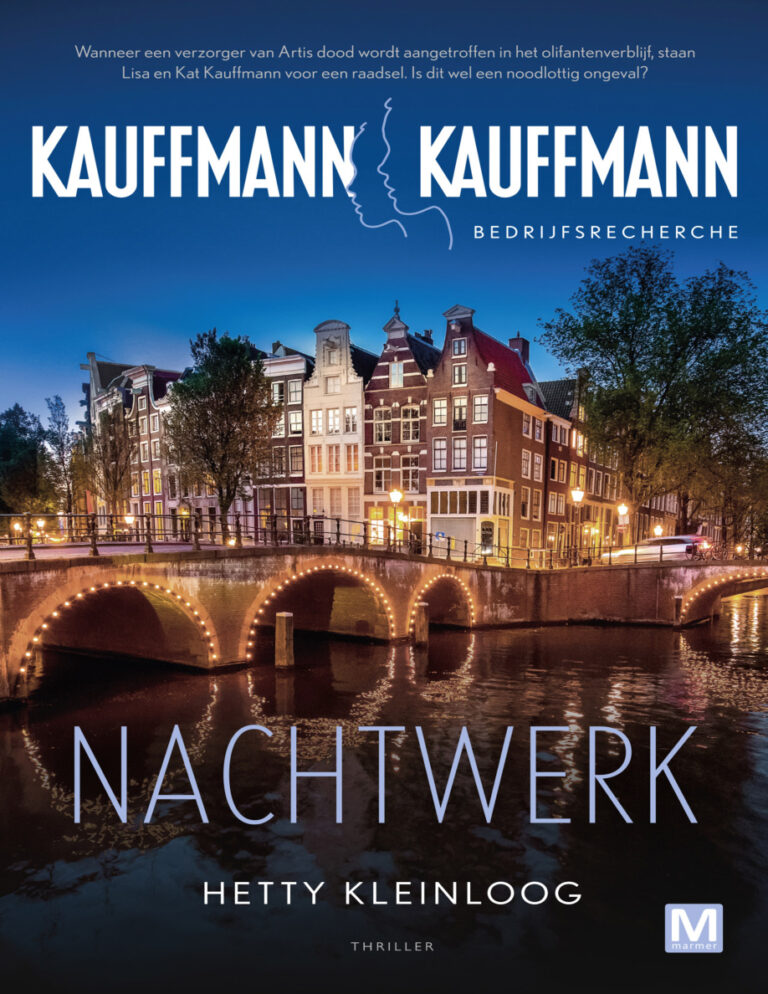 Nachtwerk Dutch Edition Hetty Kleinloog Kitap Kapağı