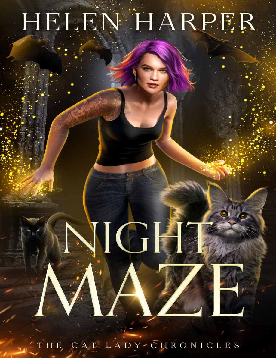 Night Maze PDF Download