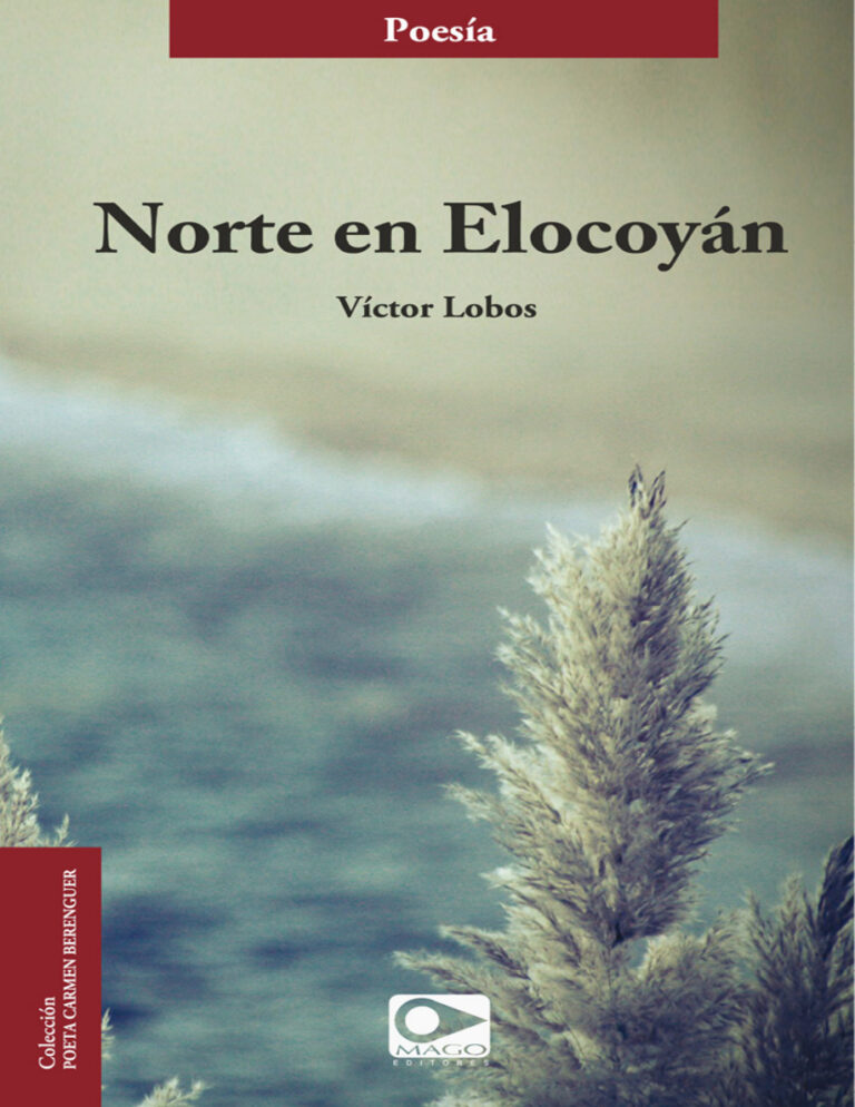 Norte en Elocoyan Spanish Edition Victor Lobos Kitap Kapağı
