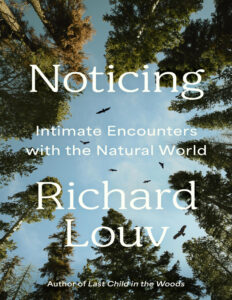 Noticing Richard Louv Kitap Kapağı