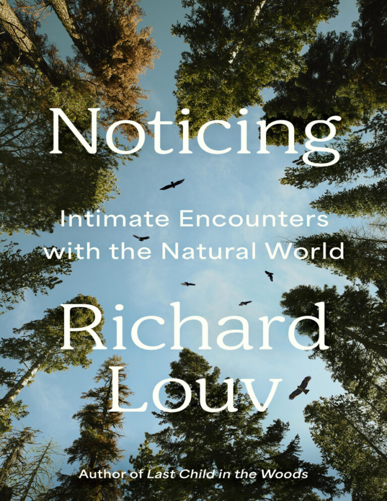 Noticing Richard Louv Kitap Kapağı
