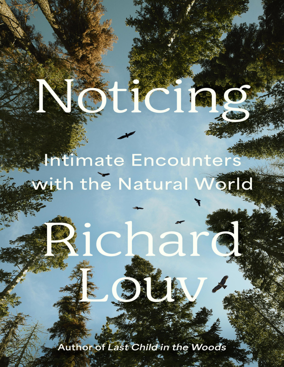 Noticing PDF Download