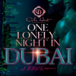 One Lonely Night In Dubai J Dominique Kitap Kapağı