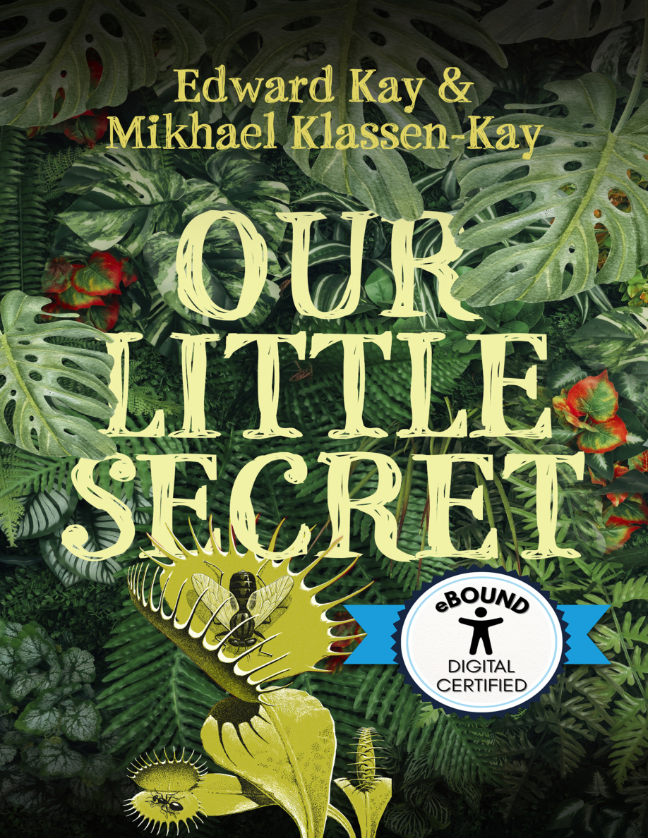 Our Little Secret PDF Download