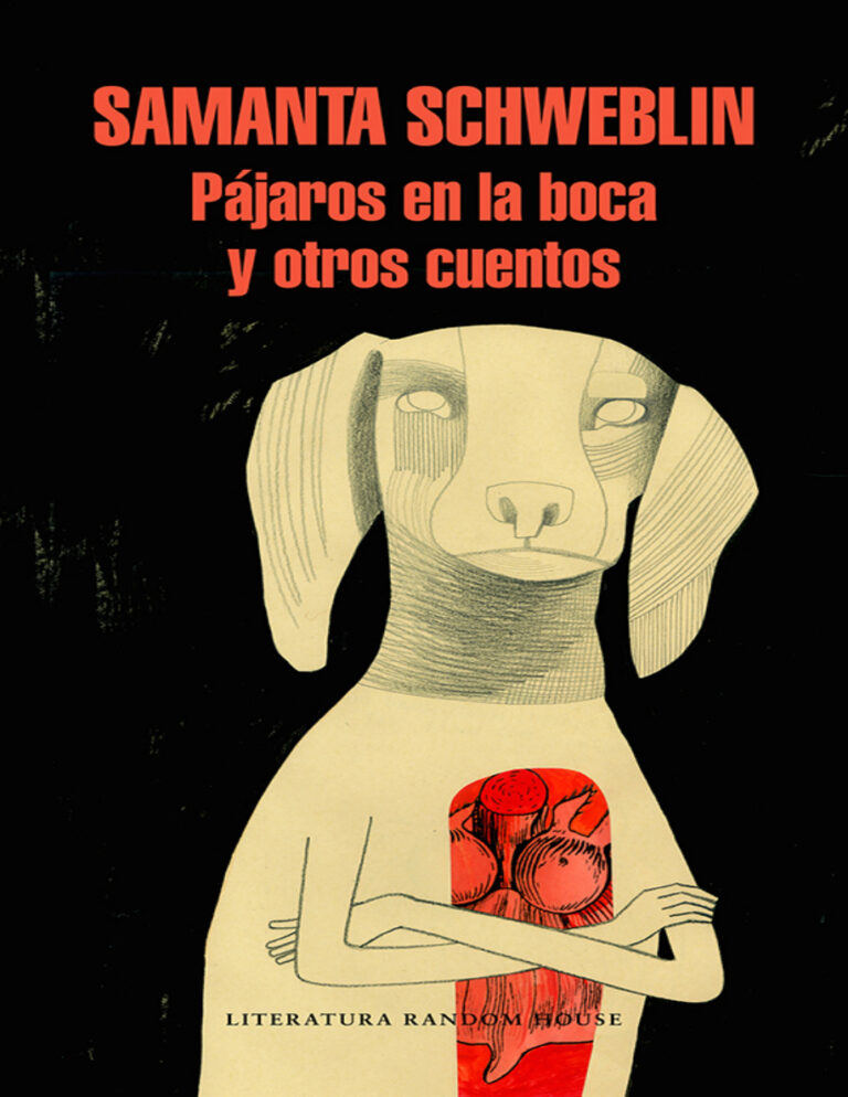 Pajaros en la boca y otros cuentos Spanish Edition Samanta Schweblin Kitap Kapağı