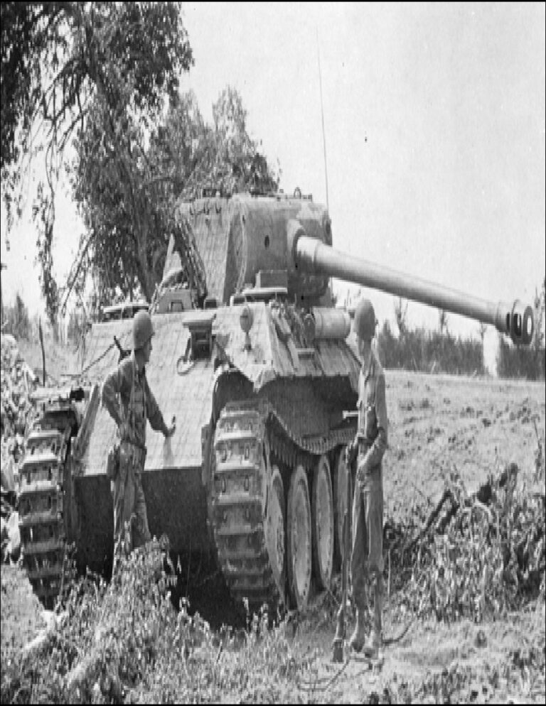 Panther Tanks Dennis Oliver Kitap Kapağı