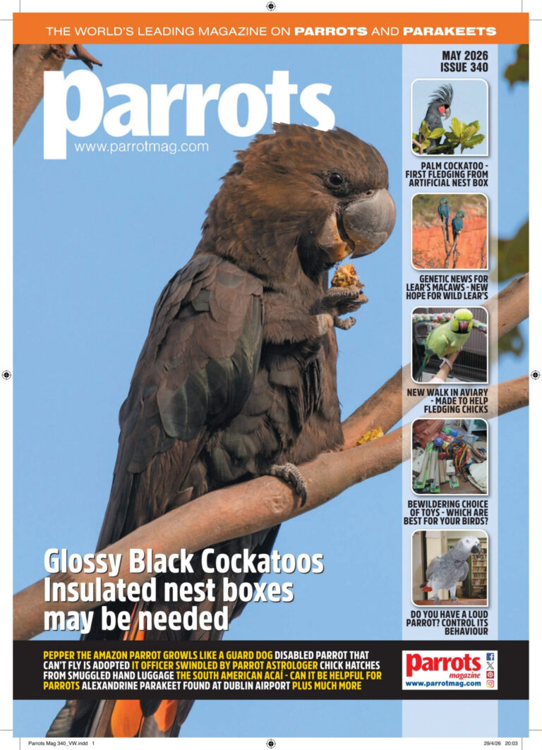 Parrots Magazine Issue 340 May 2026 Parrots Magazine Kitap Kapağı