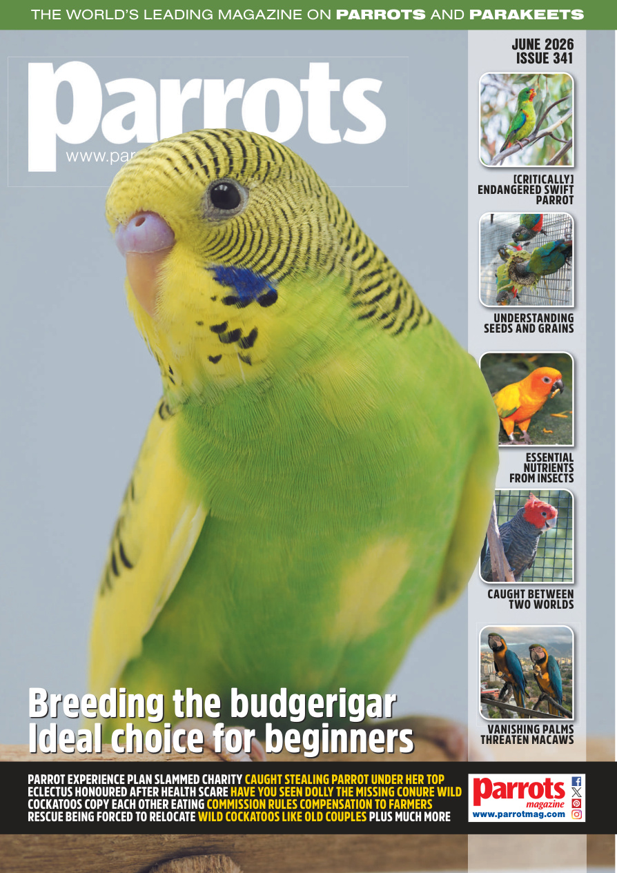Parrots Magazine - Issue 341 June 2026 PDF Download