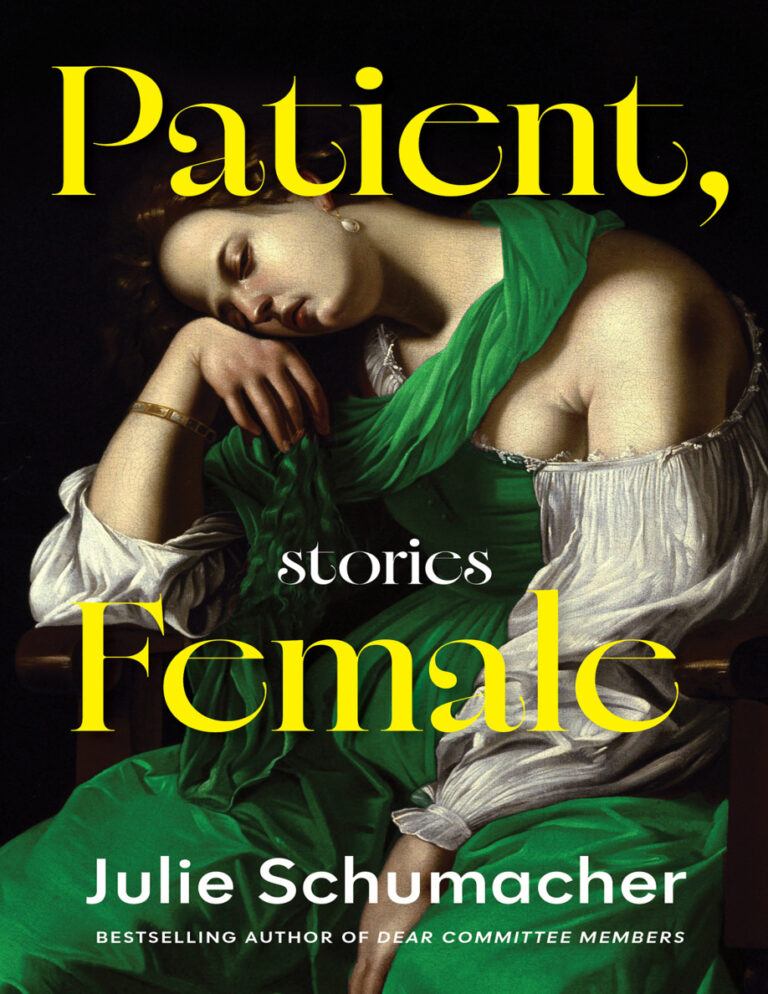 Patient Female Julie Schumacher Kitap Kapağı