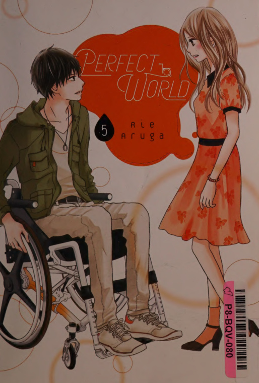 Perfect world Rie Aruga Kitap Kapağı