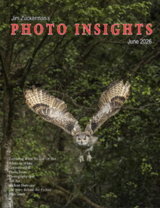 Photo Insights June 2026 Photo Insights Kitap Kapağı