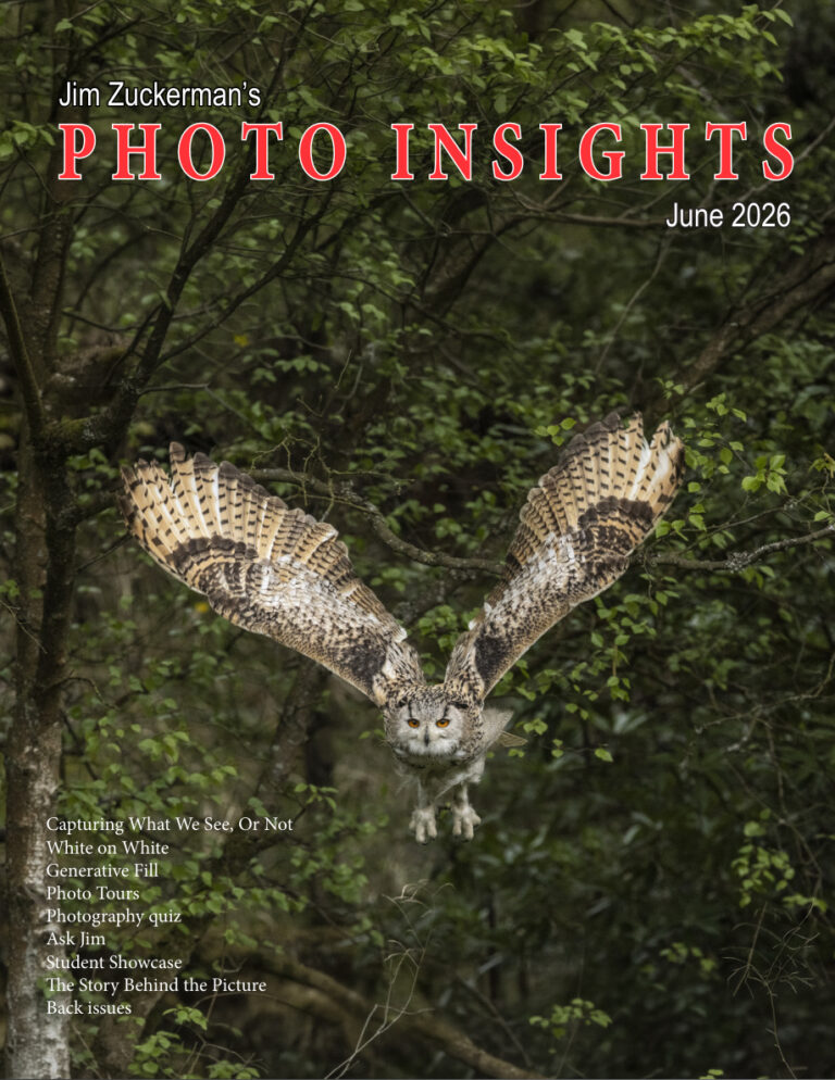 Photo Insights June 2026 Photo Insights Kitap Kapağı