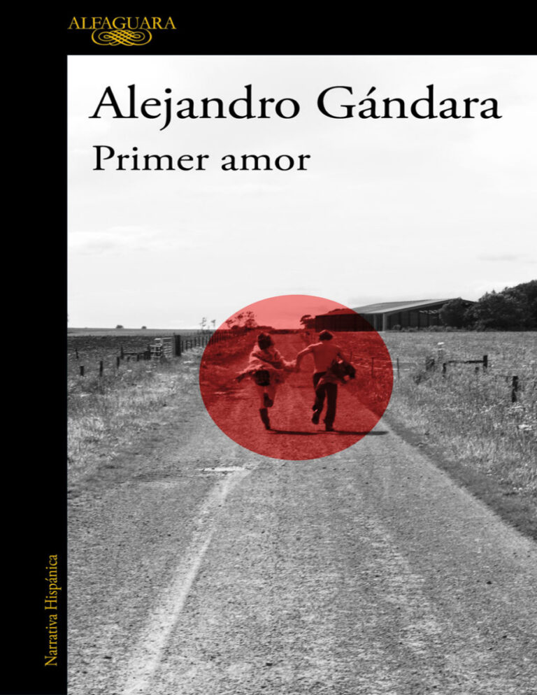 Primer amor Spanish Edition Alejandro Gandara Kitap Kapağı