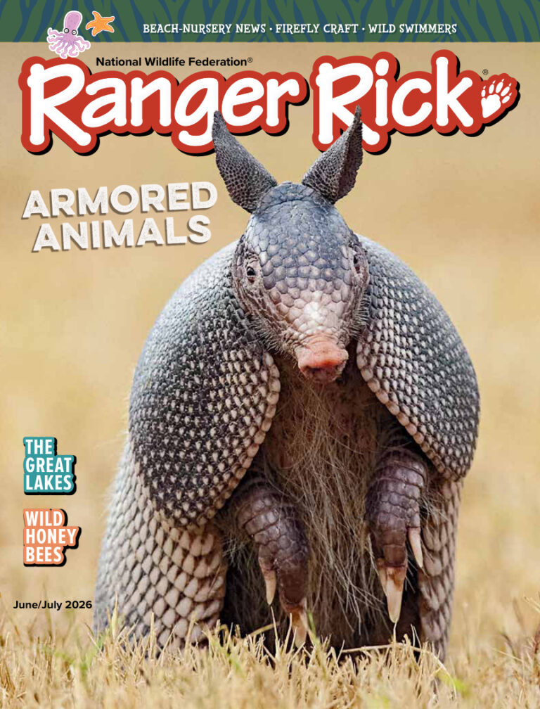Ranger Rick JuneJuly 2026 Ranger Rick Kitap Kapağı