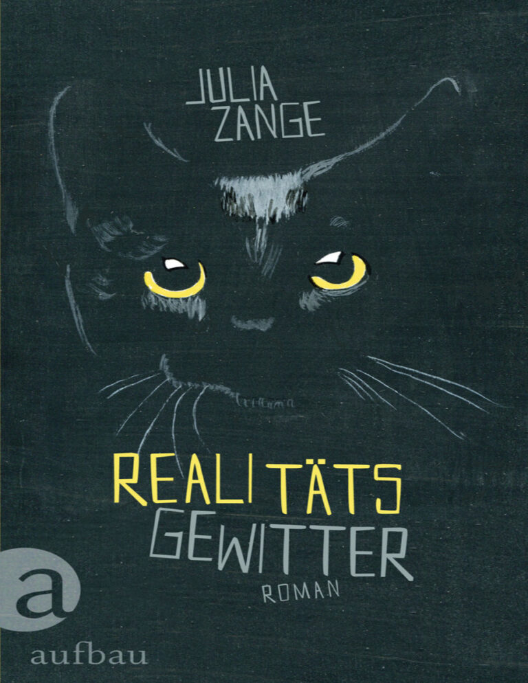 Realitatsgewitter Julia Zange Kitap Kapağı