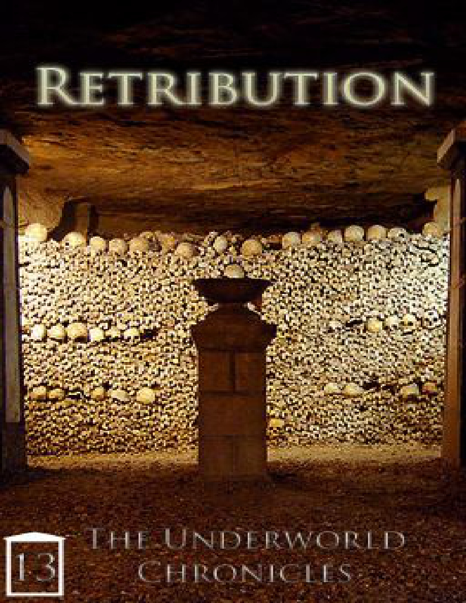Retribution rotxinxpieces Kitap Kapağı