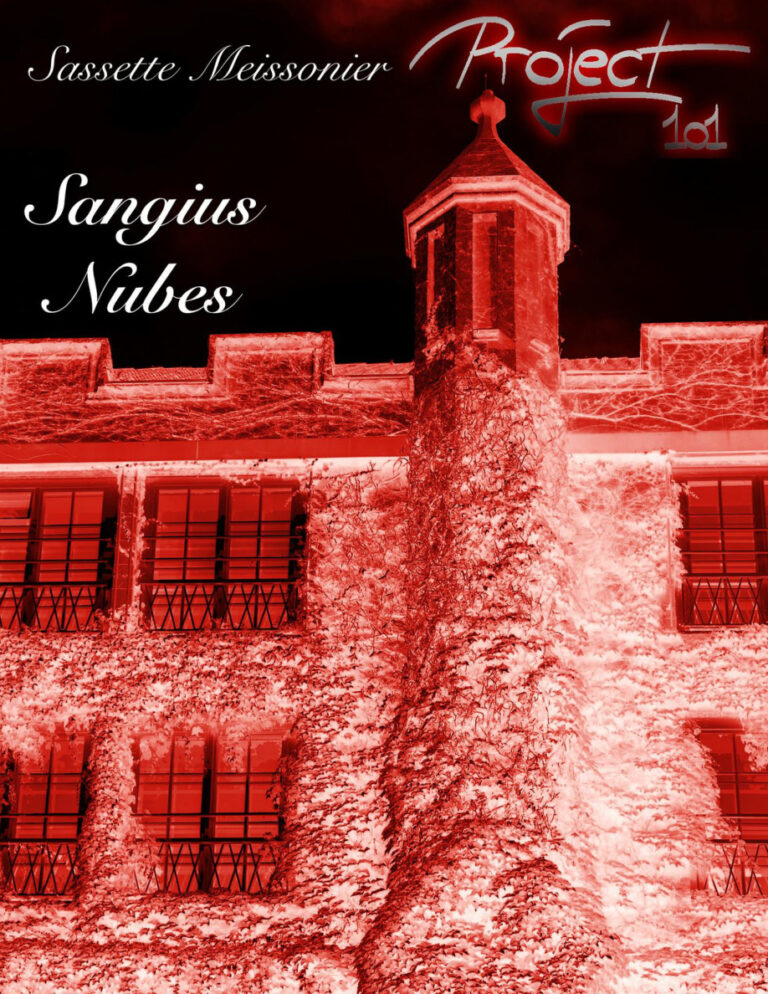 Sangius Nubes German Edition Sassette Meissonier Kitap Kapağı