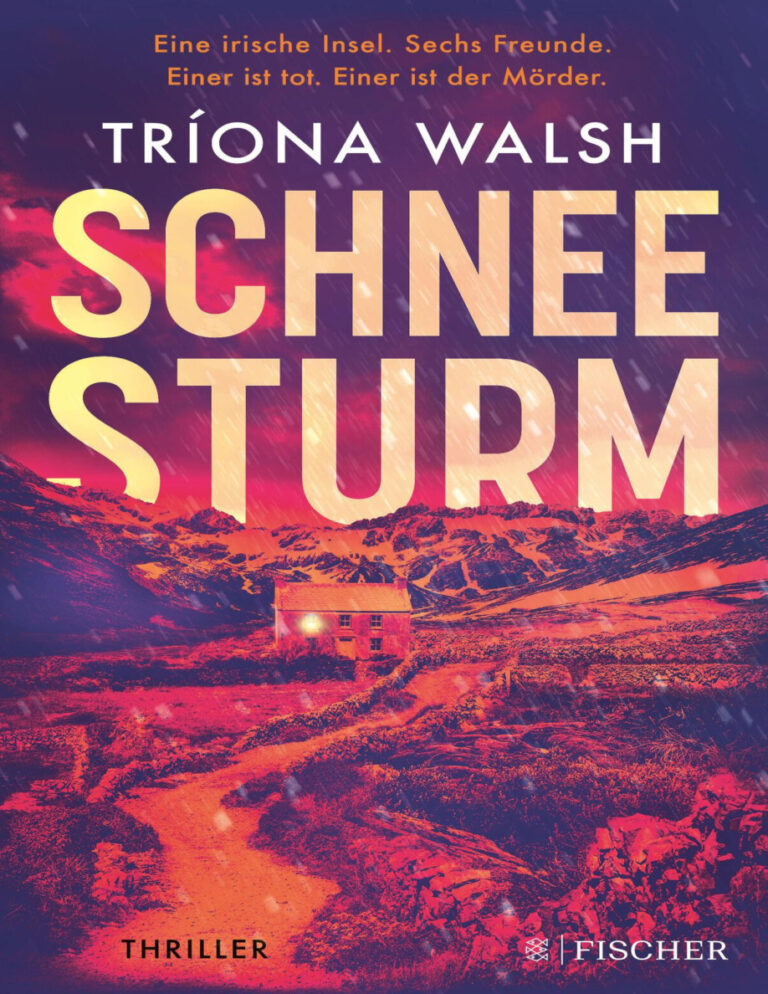 Schneesturm German Edition Triona Walsh Kitap Kapağı