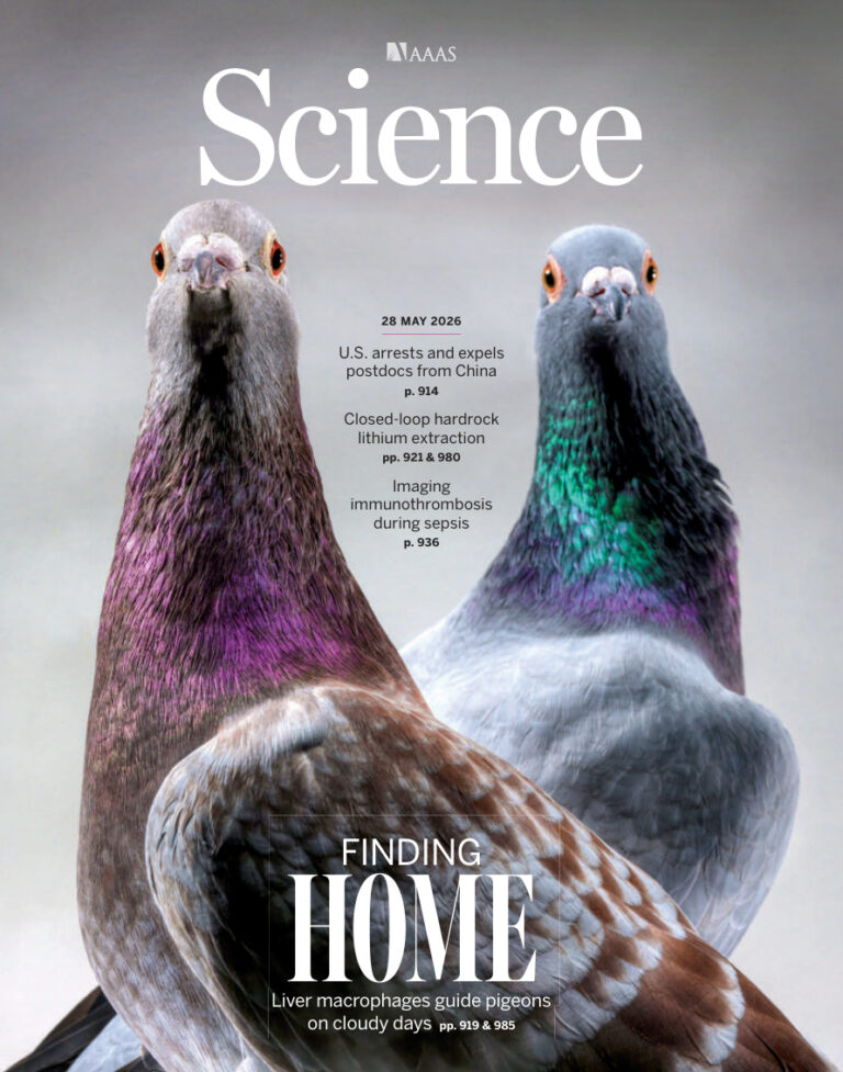 Science Issue 6801 Volume 392 May 28 2026 Science Kitap Kapağı