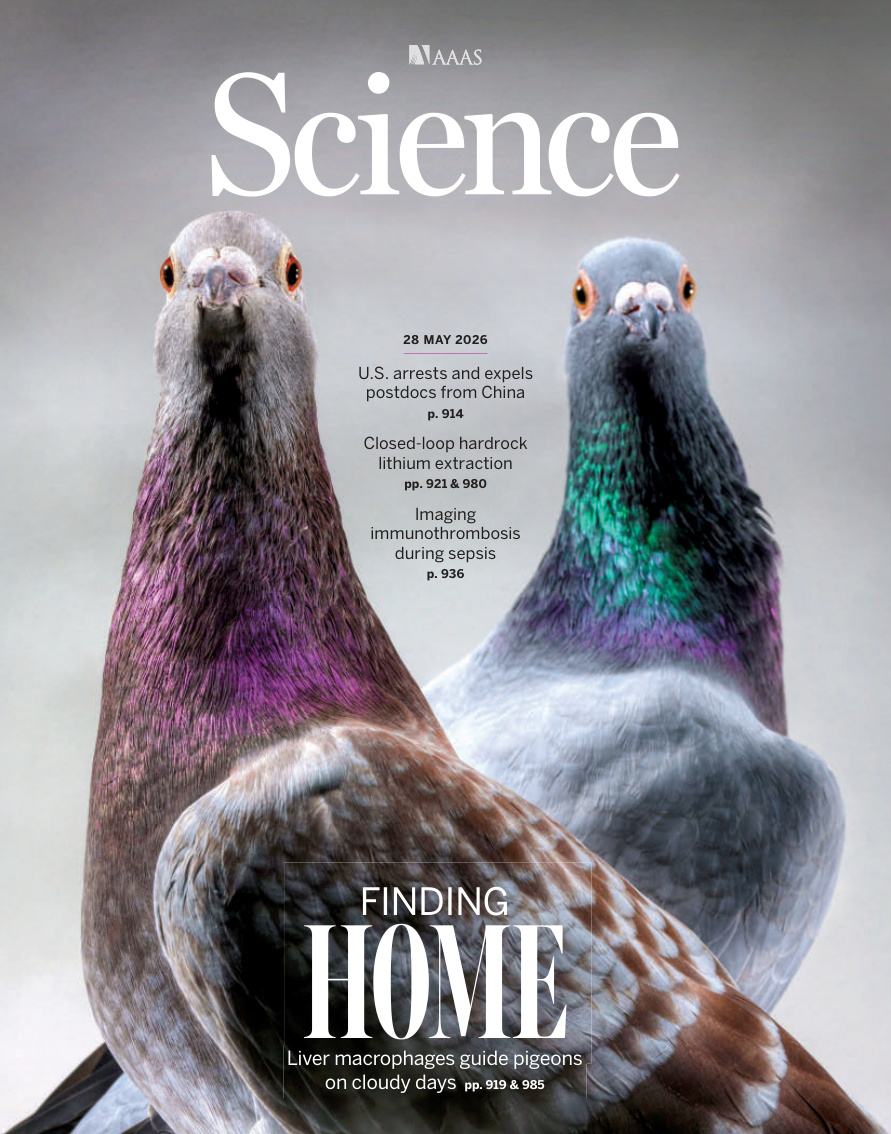 Science Issue 6801 Volume 392 May 28 2026 Science Kitap Kapağı