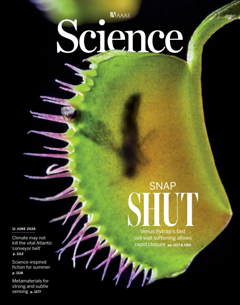 Science Issue 6803 Volume 392 June 11 2026 Science Kitap Kapağı