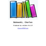 Se busca una mujer Charles Bukowski Kitap Kapağı