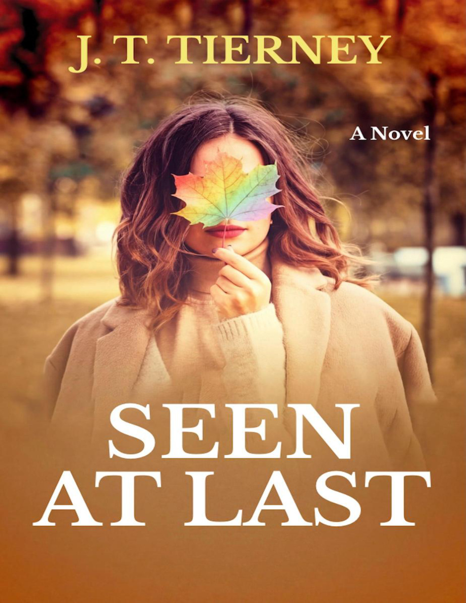 Seen At Last JT Tierney Kitap Kapağı