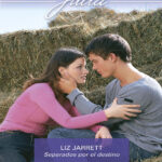 Separados por el destino Spanish Edition Liz Jarrett Kitap Kapağı