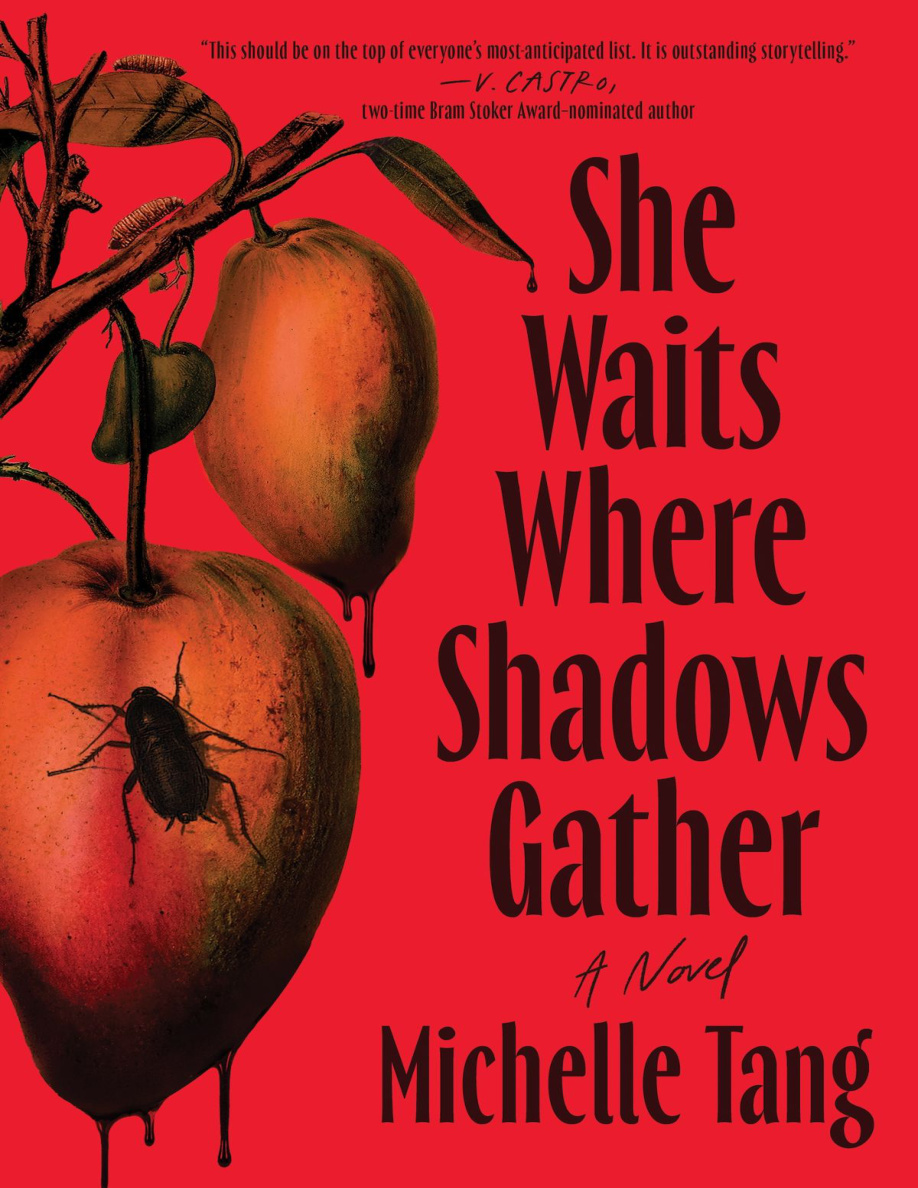 She Waits Where Shadows Gather Michelle Tang Kitap Kapağı